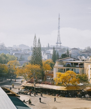 da lat through the lens of a wanderer