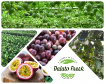 chanh leo tim   organic